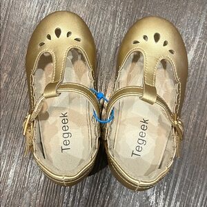 Tegeek Gold Shoes